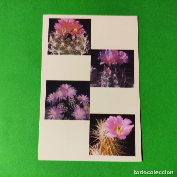 Colecionismo Calend&aacute;rios: CALENDARIOS CACTUS 2004 . RUSO . T4