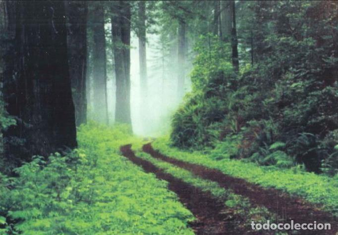 Coleccionismo Calendarios: CALENDARIO PUBLICIDAD PAISAJE PELUQUERIA ZENEIDA UNISEX - GUARCACHO - SAN MIGUEL - A&Ntilde;O 2010