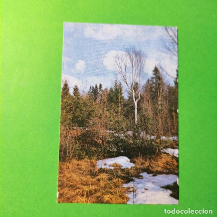 Coleccionismo Calendarios: CALENDARIO .PAISAJE . EDITORIAL SOCIALISTA DE KARKIV 1990 . RUSIA . T4