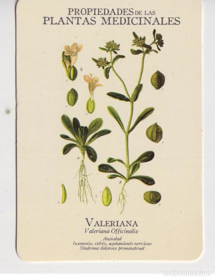 Colecionismo Calend&aacute;rios: CALENDARIO DE A&Ntilde;O 2007 EN PUBLICIDAD DE FARMACIA ESCUD&Eacute; TERRASSA EN ESPA&Ntilde;OL