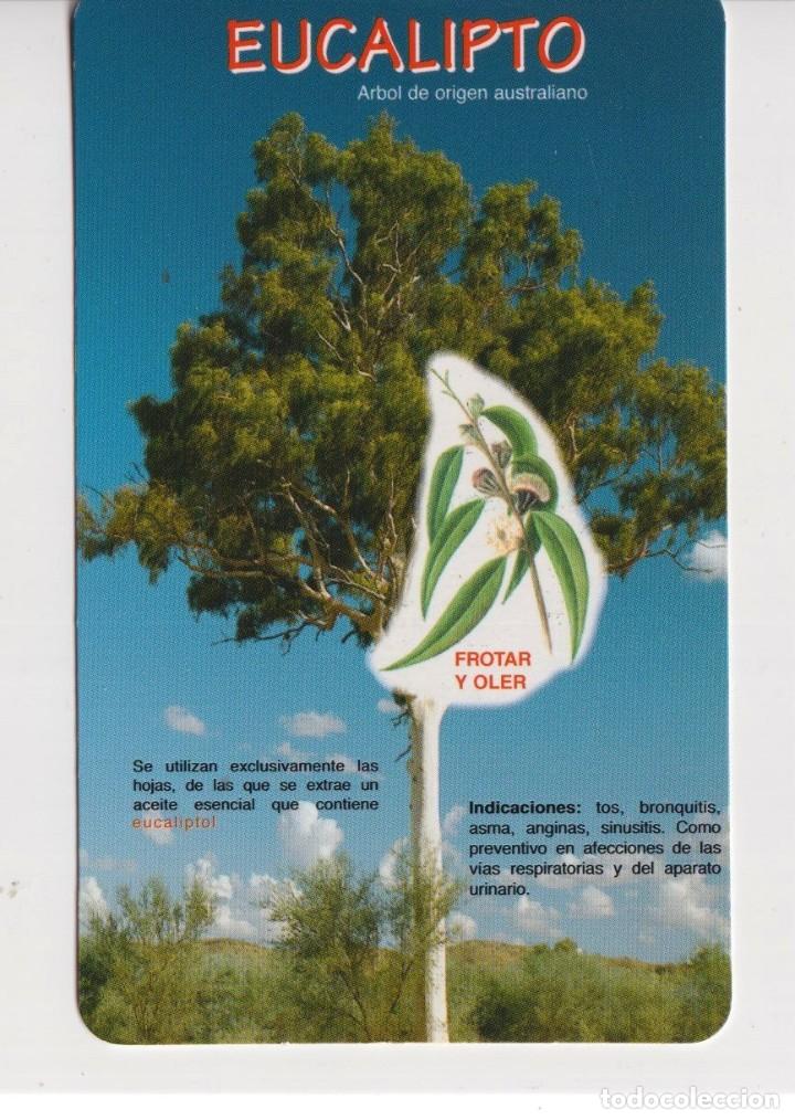Collezionismo Calendari: CALENDARIO DE A&Ntilde;O 2004 EN PUBLICIDAD DE FARMACIA BAQUERO PONS LLEIDA EN ESPA&Ntilde;OL