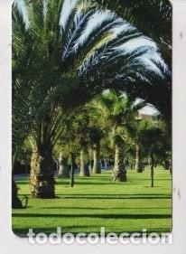 Collezionismo Calendari: CALENDARIO DE A&Ntilde;O 2006 DE CASA AYUNTAMIENTO Y POLICIA LOCAL CANET D&acute;EN DE BERENGUER EN ESPA&Ntilde;OL