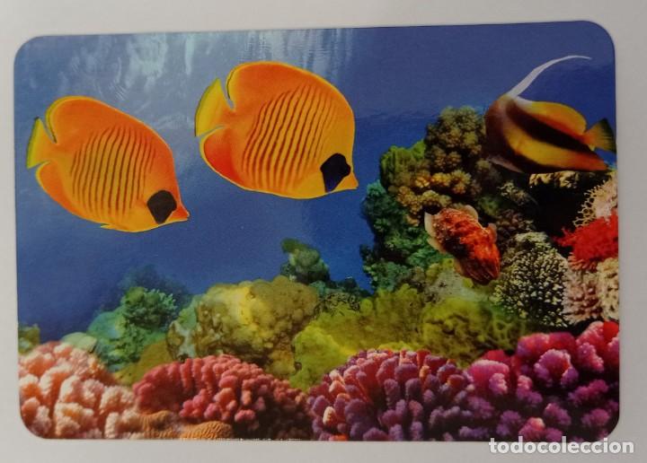 Sammeln von Kalendern: CALENDARIO TEMA PECES. SERIE L-132. A&Ntilde;O 2014 SIN PUBLICIDAD