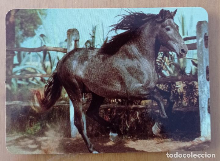 Sammeln von Kalendern: CALENDARIO ANIMALES. CABALLO. SERIE BO 549. A&Ntilde;O 2008.