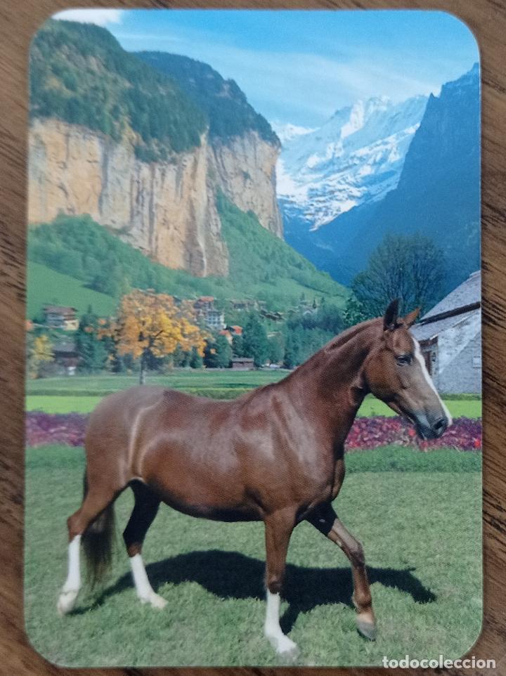 Sammeln von Kalendern: CALENDARIO TEMA ANIMALES. CABALLO. SERIE EDIJAR N&deg; 11. A&Ntilde;O 2009.