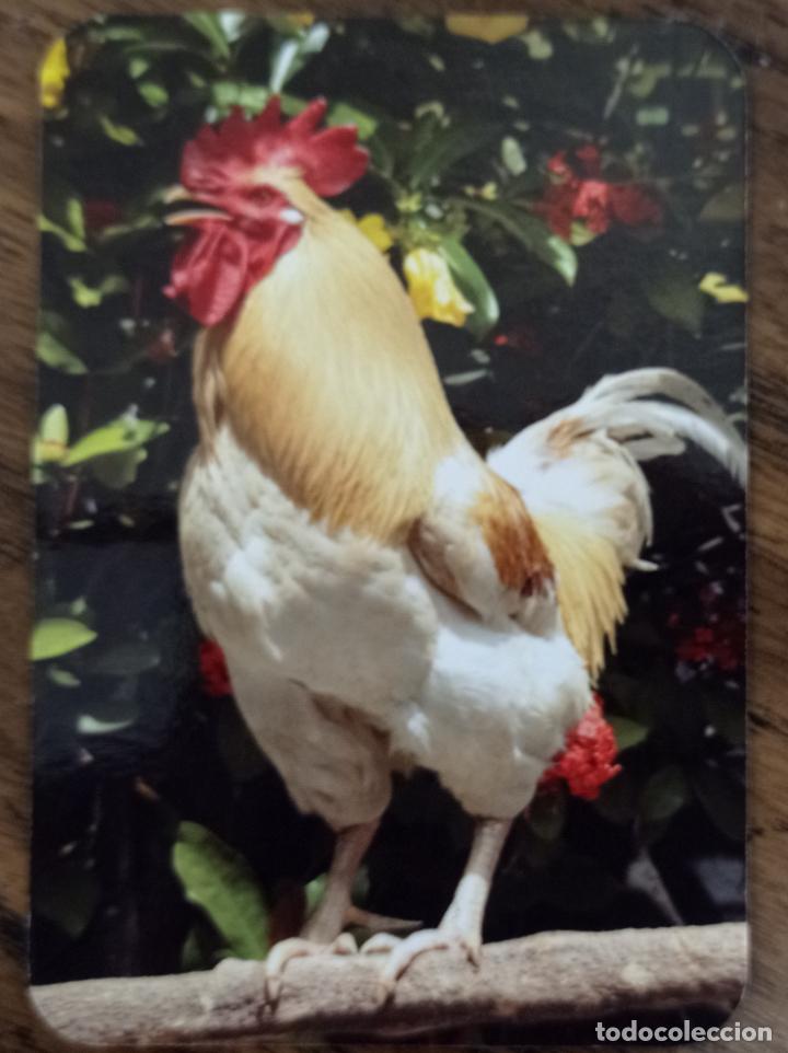 Sammeln von Kalendern: CALENDARIO TEMA AVES. GALLO. SERIE EDIJAR N&deg; 13. A&Ntilde;O 2009.