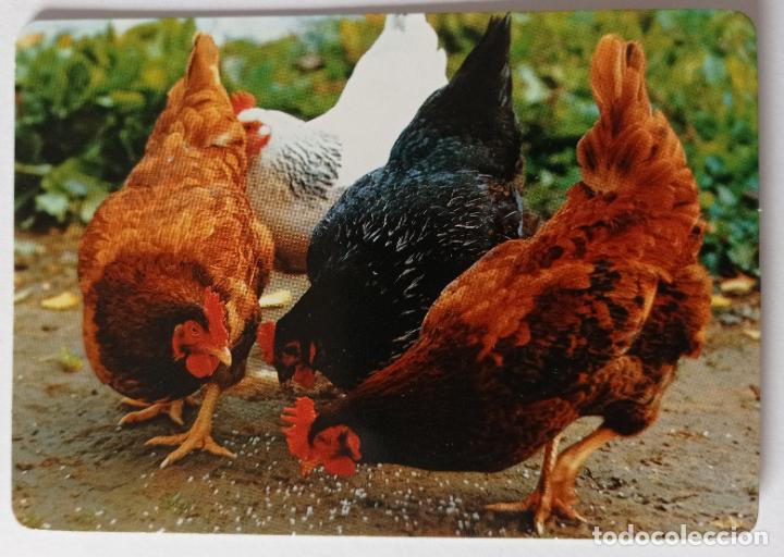 Sammeln von Kalendern: CALENDARIO TEMA AVES. SERIE CB - 65. A&Ntilde;O 2011.