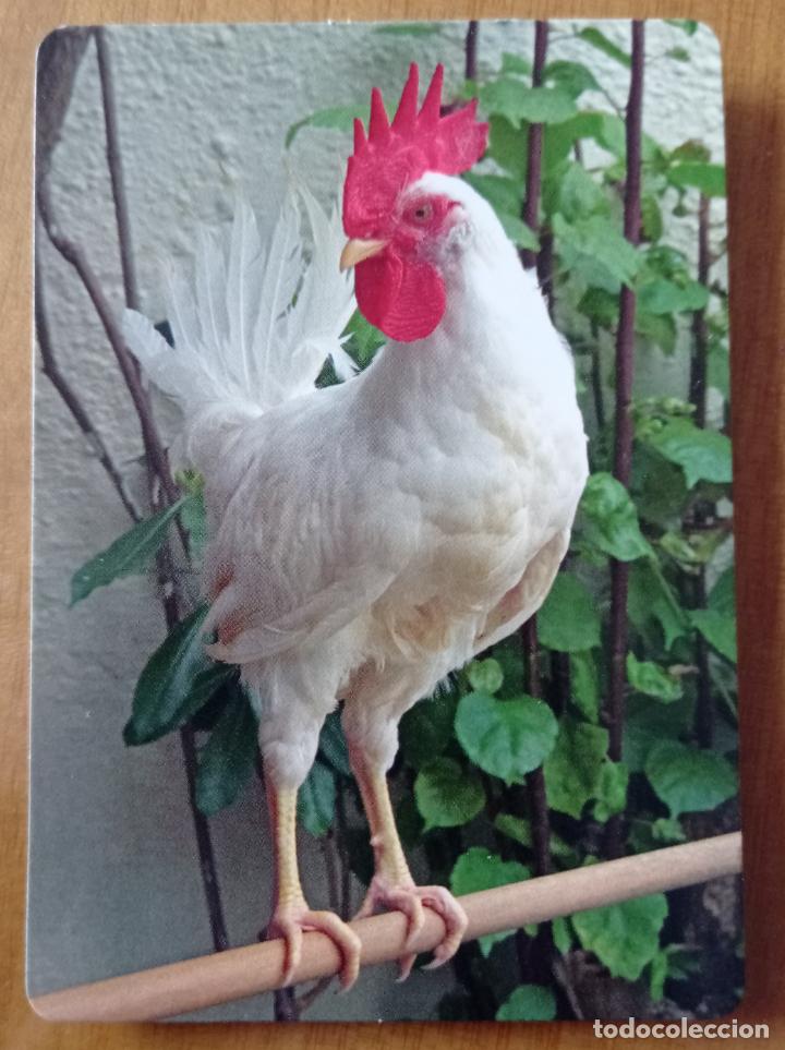 Sammeln von Kalendern: CALENDARIO TEMA AVES. SERIE CB - 72. A&Ntilde;O 2010.