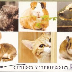 Coleccionismo Calendarios: CALENDARIO DE PUBLICIDAD - 2019 - CENTRO VETERINARIO RIOJA. Lote 341013223