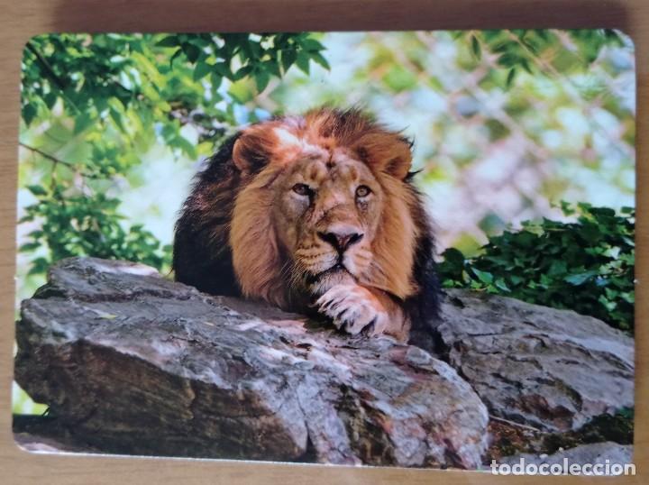 Coleccionismo Calendarios: CALENDARIO TEMA ANIMALES. LE&Oacute;N. SERIE CB - 66. A&Ntilde;O 2015. SIN PUBLICIDAD