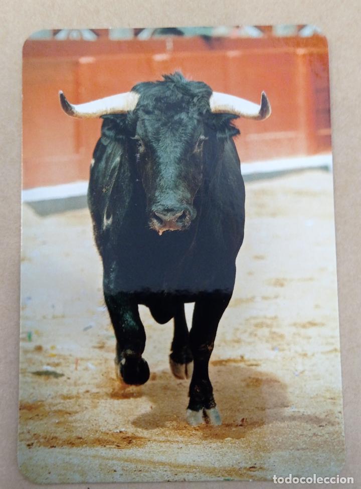 Coleccionismo Calendarios: CALENDARIO TEMA ANIMALES. TORO SERIE L- 128. A&Ntilde;O 2019. SIN PUBLICIDAD