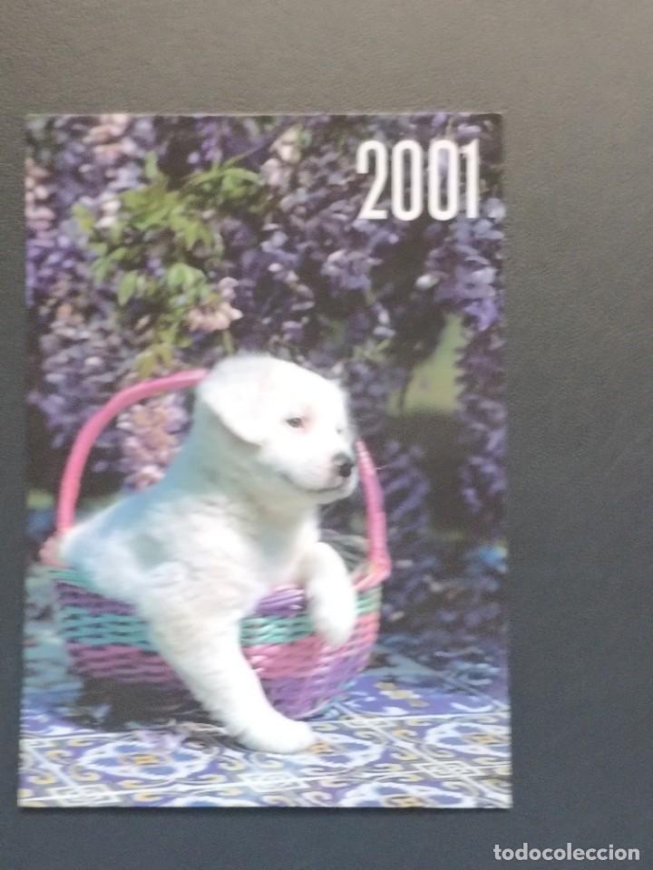Coleccionismo Calendarios: VCK 2623 Calendario Bolsillo - A&Ntilde;O 2001 - PERRO - REP&Uacute;BLICA CHECA