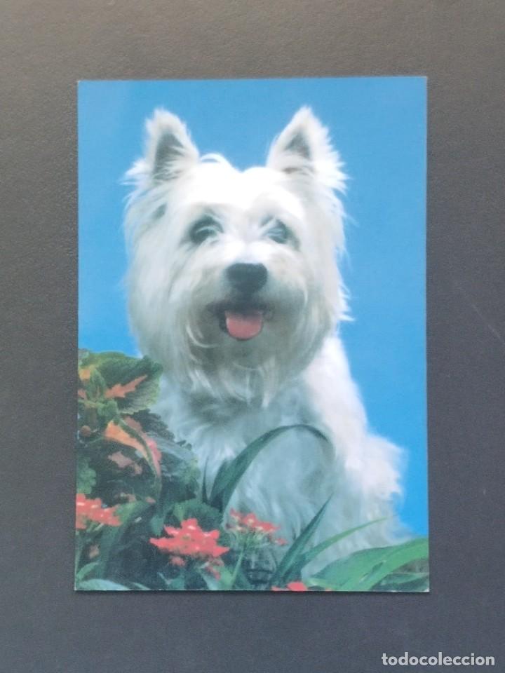 Coleccionismo Calendarios: VCK 2625 Calendario Bolsillo - A&Ntilde;O 2003 - PERRO - REP&Uacute;BLICA CHECA