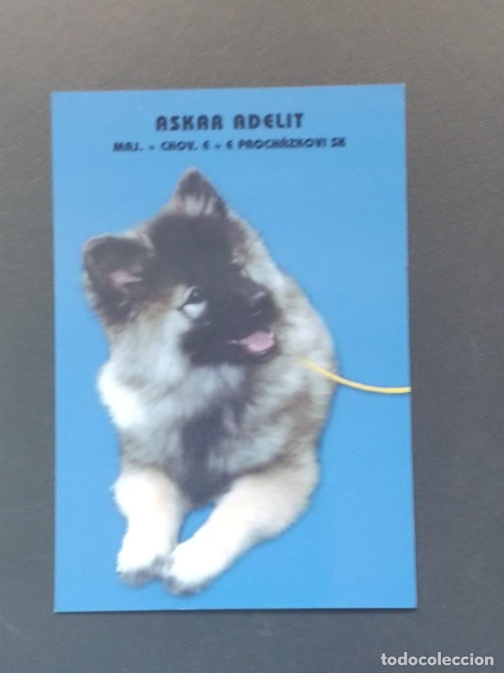 Coleccionismo Calendarios: VCK 2626 Calendario Bolsillo - A&Ntilde;O 2003 - PERRO - REP&Uacute;BLICA CHECA