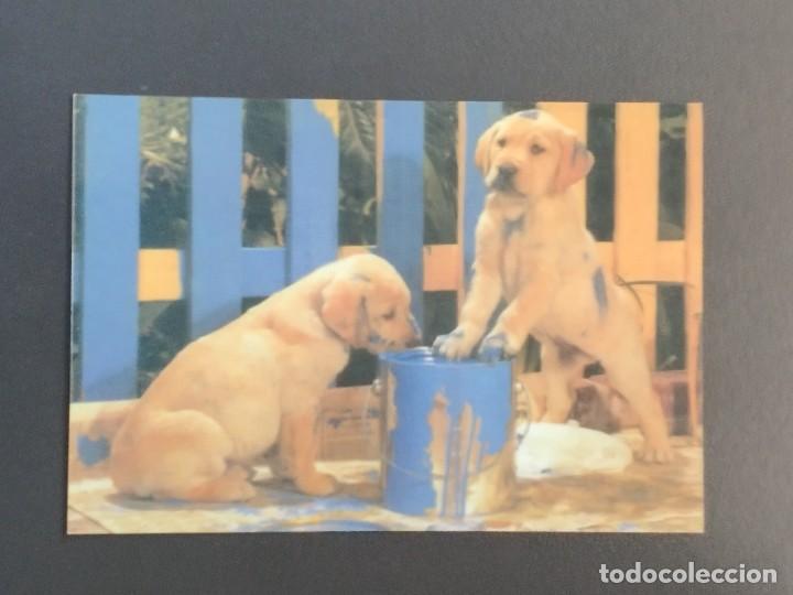 Coleccionismo Calendarios: VCK 2628 Calendario Bolsillo - A&Ntilde;O 2003 - PERRO - REP&Uacute;BLICA CHECA