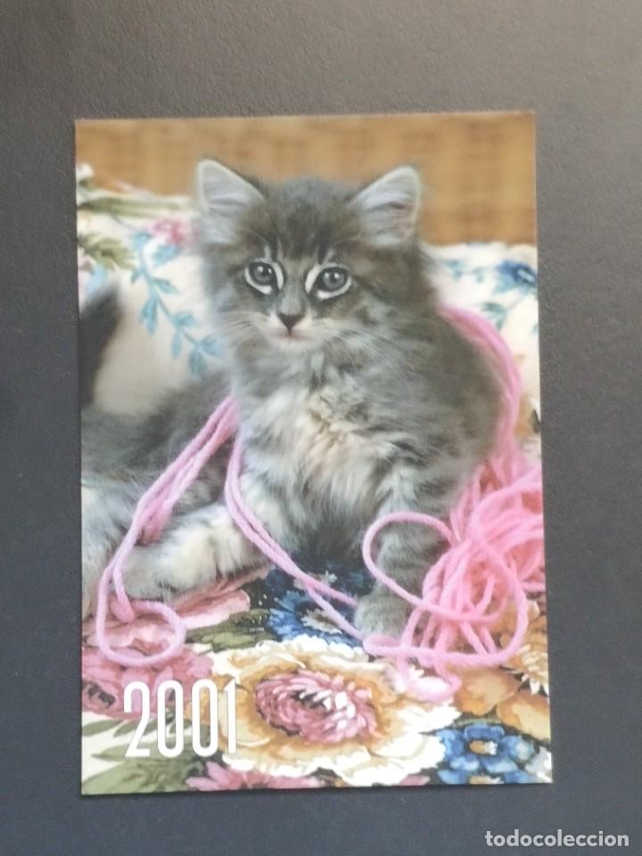 Coleccionismo Calendarios: VCK 2629 Calendario Bolsillo - A&Ntilde;O 2001 - GATO - REP&Uacute;BLICA CHECA