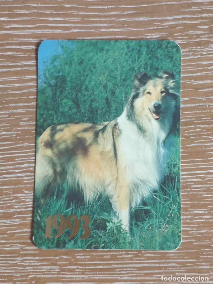Coleccionismo Calendarios: VCK 2778 CALENDARIO BOLSILLO - A&Ntilde;O 1993 - PERRO ANIMAL - EXTRANJERO