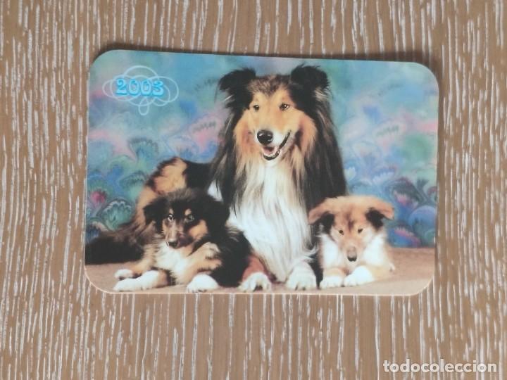 Coleccionismo Calendarios: VCK 2781 CALENDARIO BOLSILLO - A&Ntilde;O 2003 - PERRO ANIMAL - EXTRANJERO