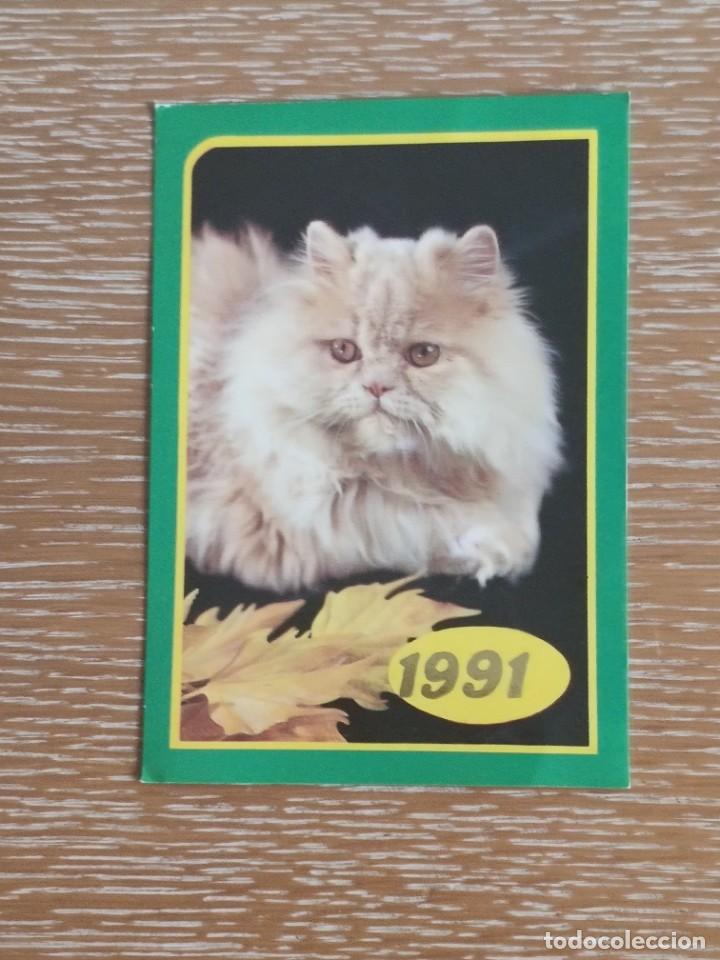 Coleccionismo Calendarios: VCK 2785 CALENDARIO BOLSILLO - A&Ntilde;O 1991 - GATO ANIMAL - EXTRANJERO