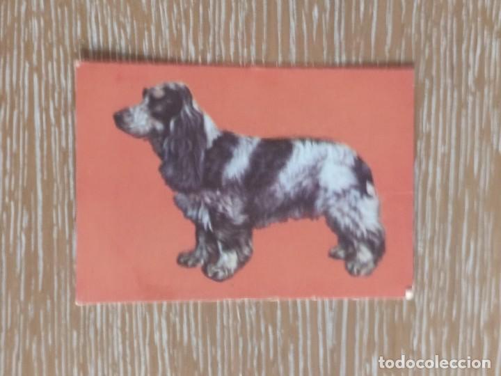 Coleccionismo Calendarios: VCK 2789 CALENDARIO BOLSILLO - A&Ntilde;O 1987 - PERRO ANIMAL - EXTRANJERO