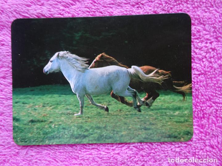 Sammeln von Kalendern: caballos salvajes calendario 1999 bo 547