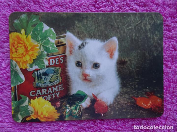Sammeln von Kalendern: gatito con caramelos calendario 2005 bo 507