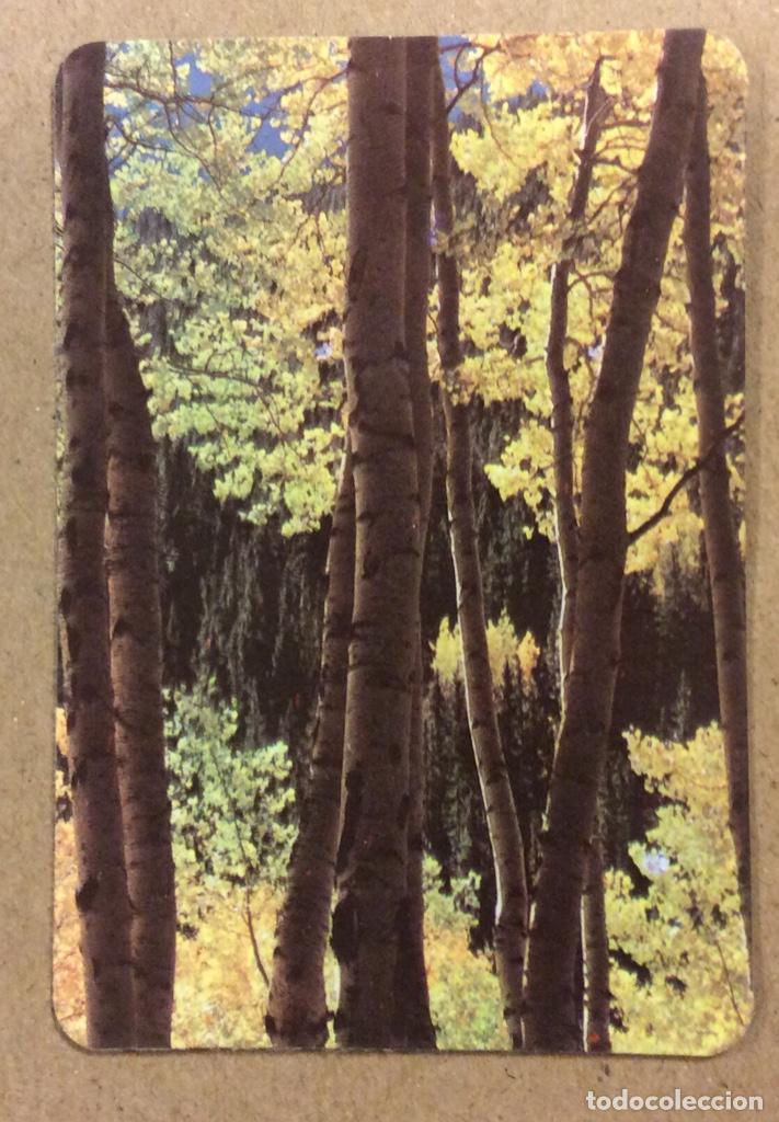 Coleccionismo calendarios: MODAS SIROCO FLASH (BILBAO). CALENDARIO PUBLICITARIO DE 1984