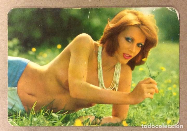 Sammeln von Kalendern: VINOS CARBAJALES (BILBAO). CALENDARIO PUBLICITARIO DE 1977. CHICA BIKINI