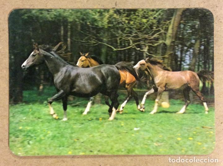 Coleccionismo calendarios: TALLERES PERSAN (BILBAO). CALENDARIO PUBLICITARIO DE 1978. CABALLOS