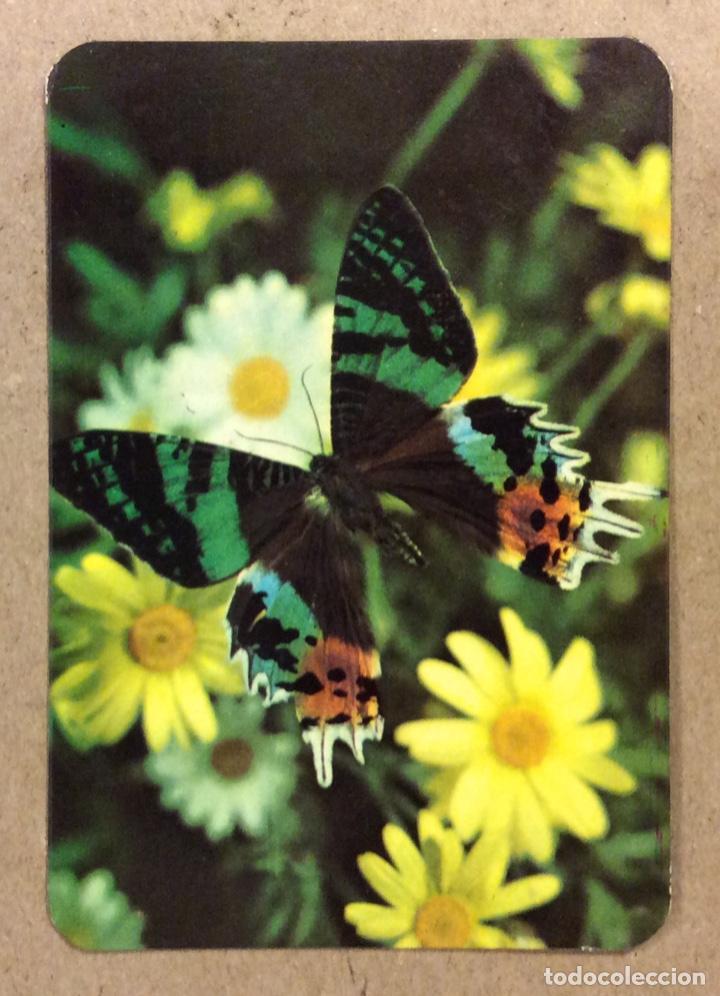Sammeln von Kalendern: BAR DIONI (SAN IGNACIO - BILBAO). CALENDARIO PUBLICITARIO DE 1972. MARIPOSA