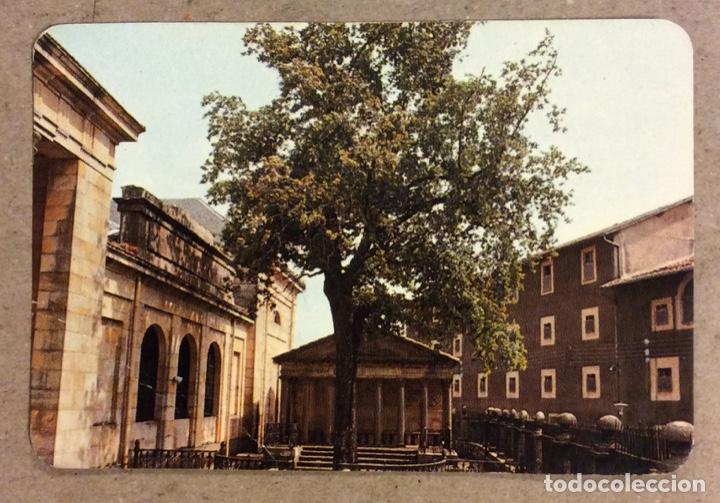 Collectables Calendars: PLANTAS Y FLORES AMALUR LANDAREAK ETA LAREAK (BILBAO). CALENDARIO PUBLICITARIO 1981. &Aacute;RBOL GERNIKA