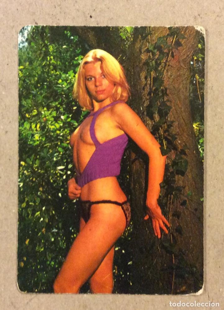 Collectables Calendars: HOJALATER&Iacute;A Y FONTANER&Iacute;A PEDRO P&Eacute;REZ (BASAURI). CALENDARIO PUBLICITARIO ER&Oacute;TICO DE 1977