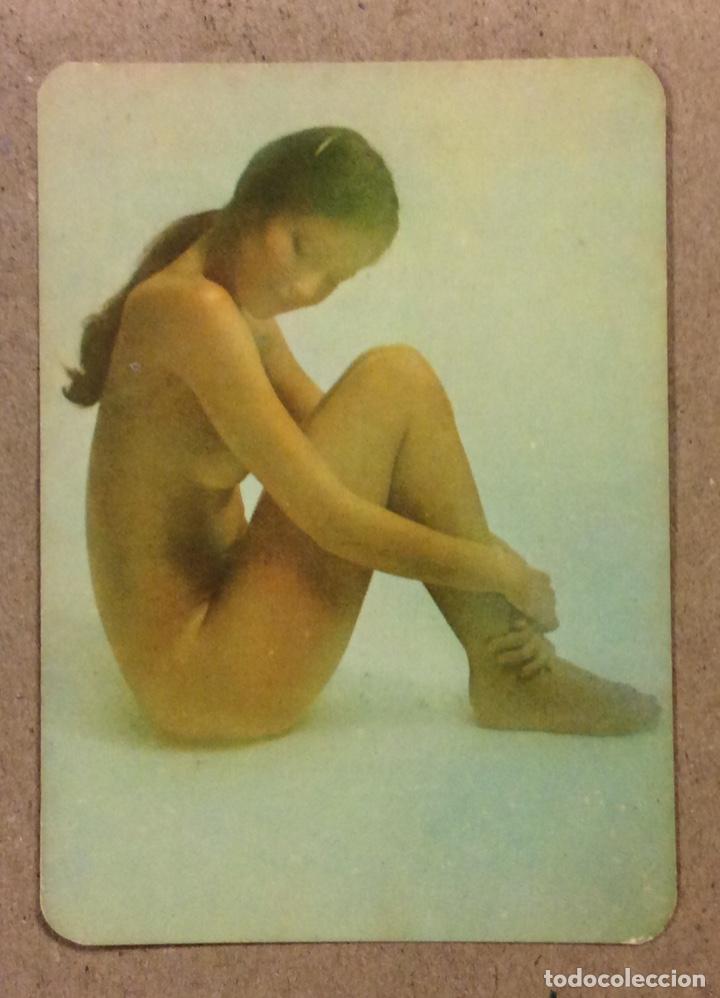 Collectables Calendars: CARROCER&Iacute;AS BIDEA (BASAURI). CALENDARIO PUBLICITARIO ER&Oacute;TICO DE 1977.