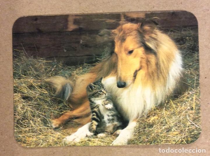 Collezionismo Calendari: BAR ISIDRO (LASARTE). CALENDARIO PUBLICITARIO DE 1987. PERRO Y GATO