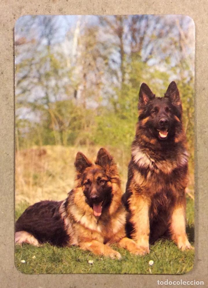Collezionismo Calendari: PAPELER&Iacute;A LA RIVA (MADRID). CALENDARIO PUBLICITARIO DE 1986. PERROS