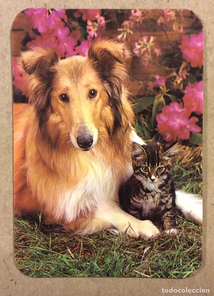 Collectionnisme Calendriers: TU BAR (LASARTE). CALENDARIO PUBLICITARIO DE 1985. PERRO Y GATO