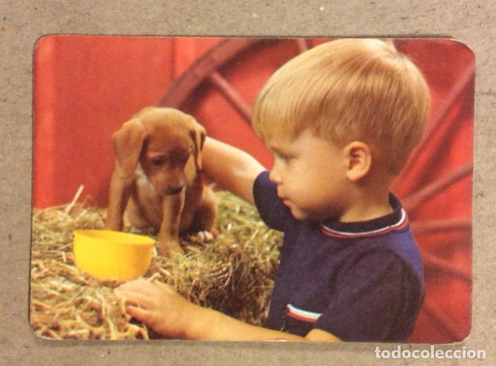 Collezionismo Calendari: BAR LA ARBOLEDA (LA ARBOLEDA - TRAPAGARAN). CALENDARIO PUBLICITARIO DE 1984. NI&Ntilde;O Y PERRO