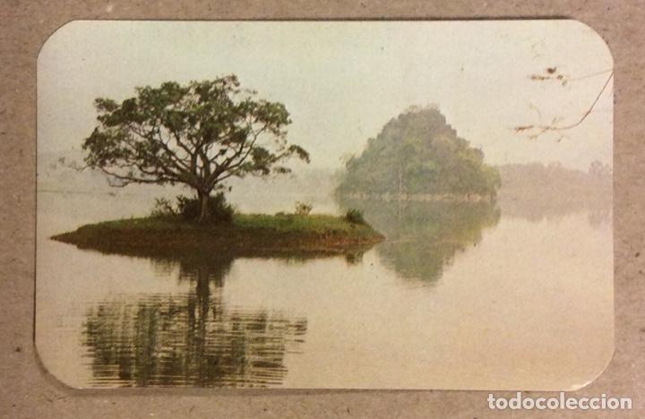Collectables Calendars: SELLOS DE GOMA RO - EN - T (TANDIL - ARGENTINA). CALENDARIO PUBLICITARIO DE 1982.