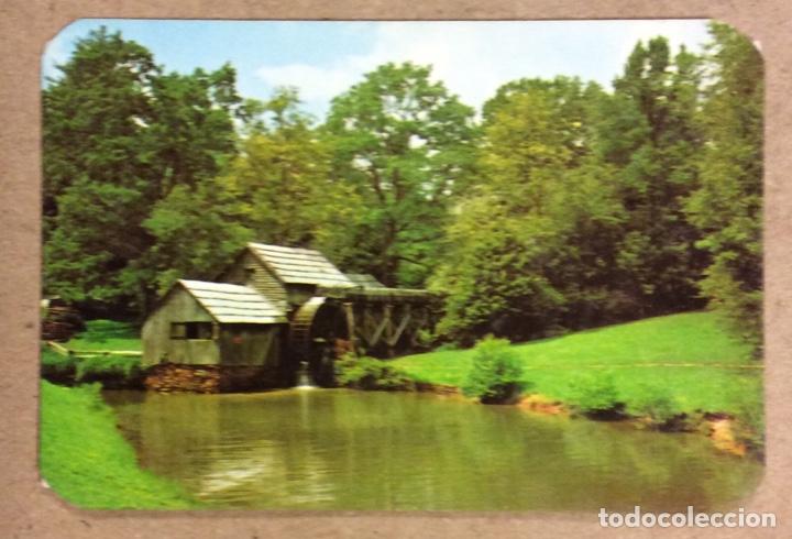 Collezionismo Calendari: TABERNA UZTARRI (BILBAO). CALENDARIO PUBLICITARIO DE 1982.