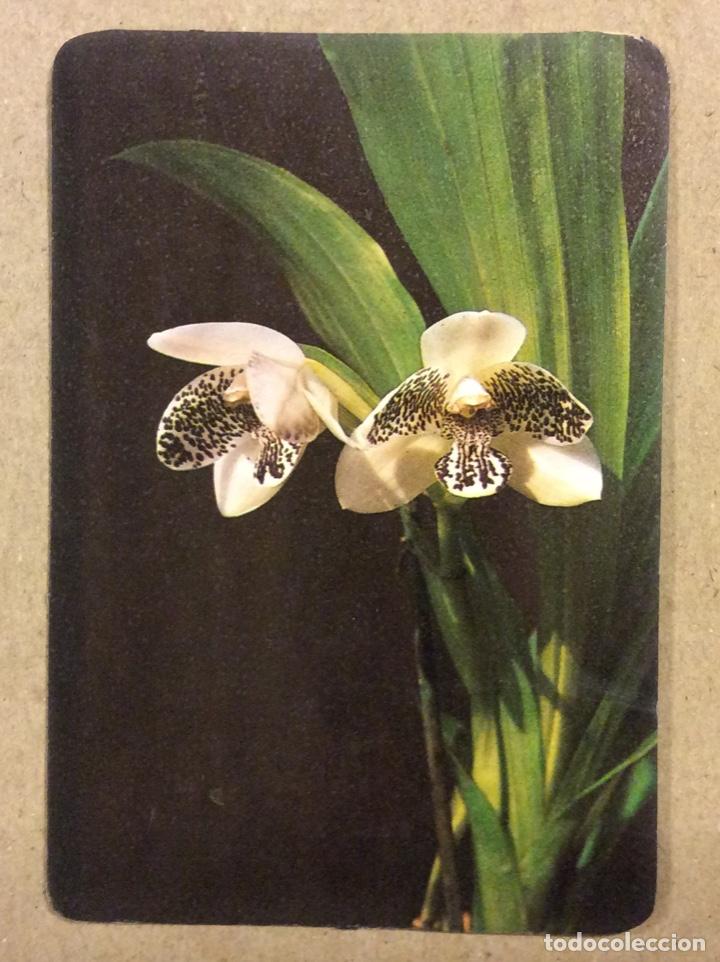 Collezionismo Calendari: ESTANCO IRENE MESTRE (BILBAO). CALENDARIO PUBLICITARIO DE 1982. FLORES