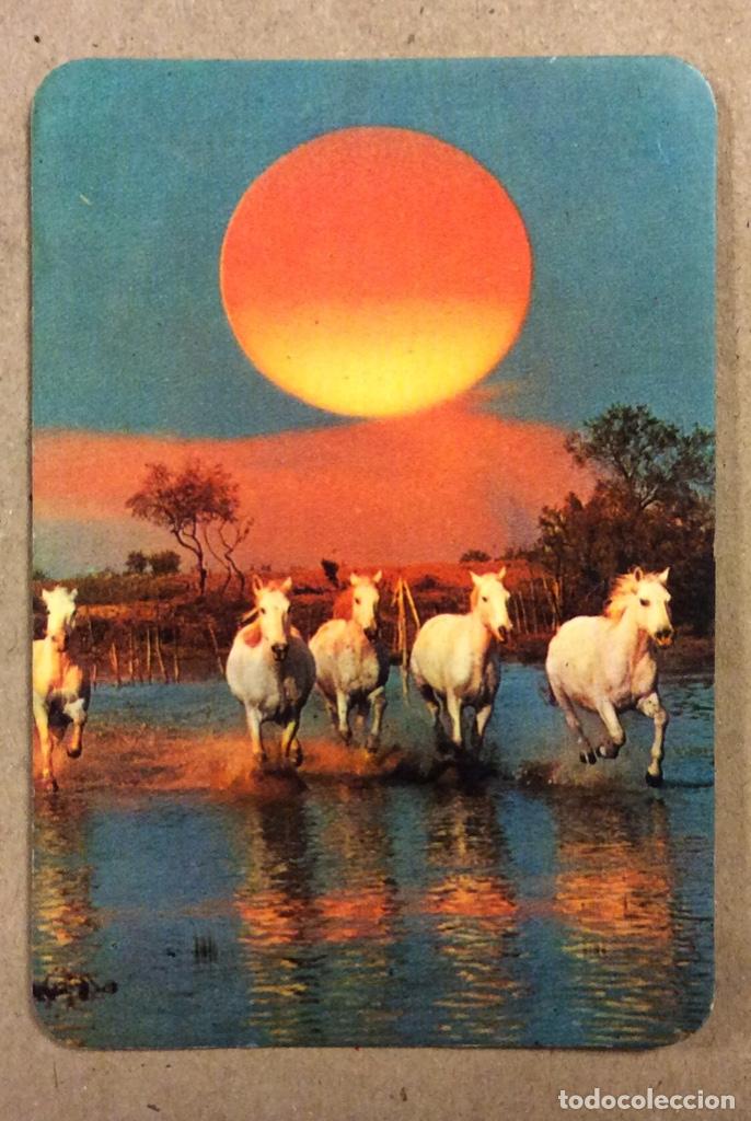 Collezionismo Calendari: LIBRER&Iacute;A AMETSA (BILBAO). CALENDARIO PUBLICITARIO DE 1982. PAISAJE