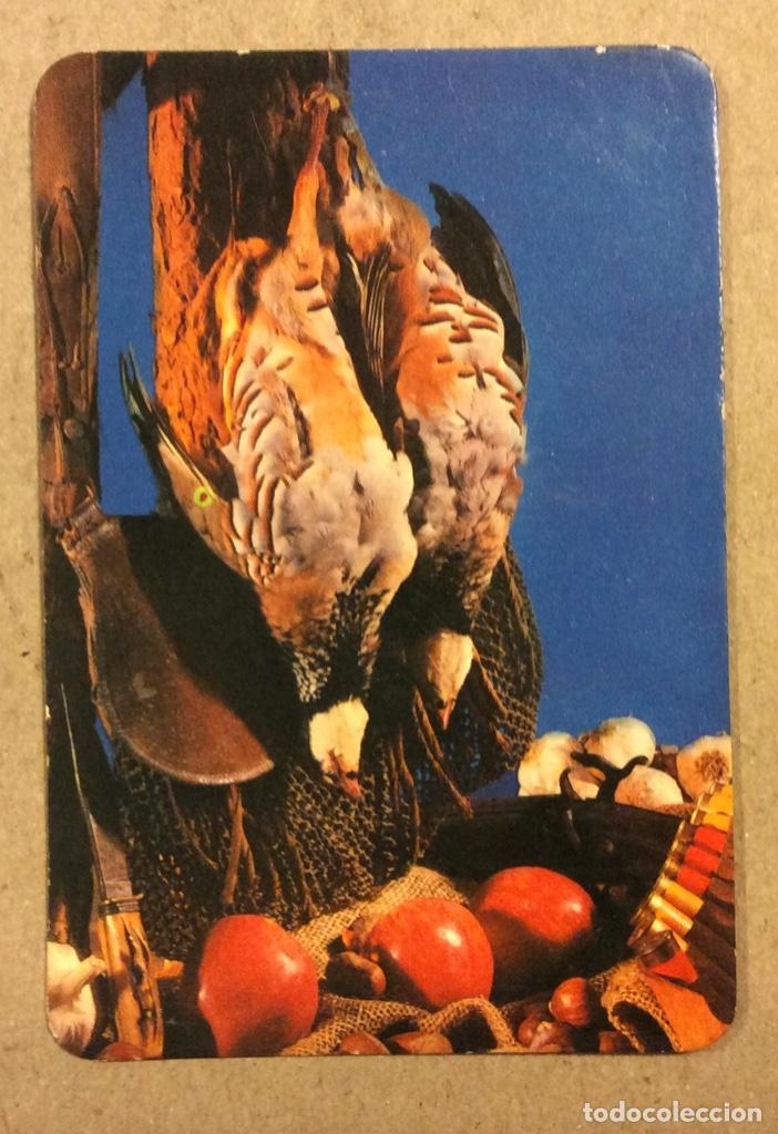 Sammeln von Kalendern: TRANSPORTES ITURRI (BILBAO). CALENDARIO PUBLICITARIO DE 1980. BODEG&Oacute;N DE CAZA