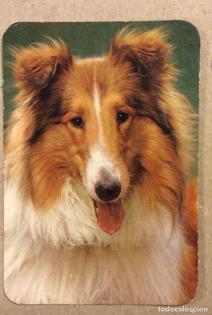 Sammeln von Kalendern: BAR DURY (BARACALDO). CALENDARIO PUBLICITARIO DE 1976.