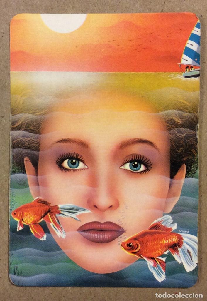 Colecionismo Calend&aacute;rios: ULTRA CONGELADOS TRAPAGA (SAN SALVADOR DEL VALLE). CALENDARIO PUBLICITARIO DE 1990.