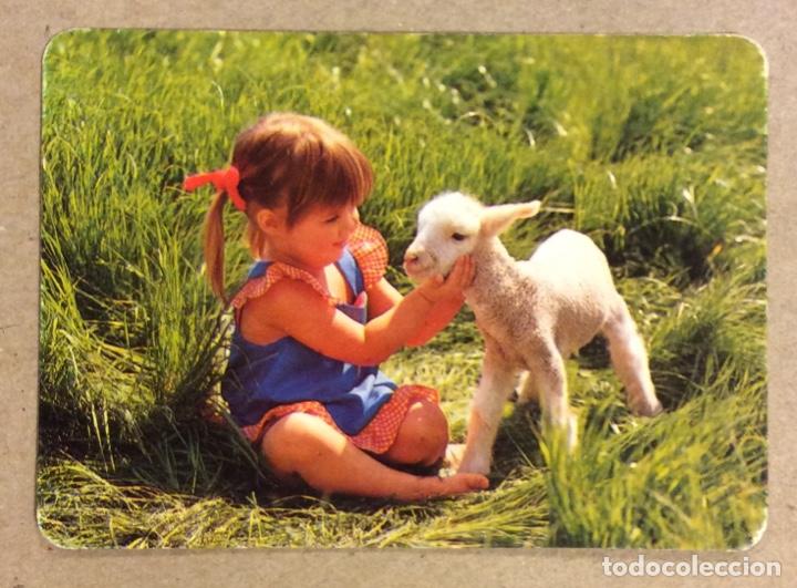 Collezionismo Calendari: CALZADOS AYESTARAN (BILBAO). CALENDARIO PUBLICITARIO DE 1993.