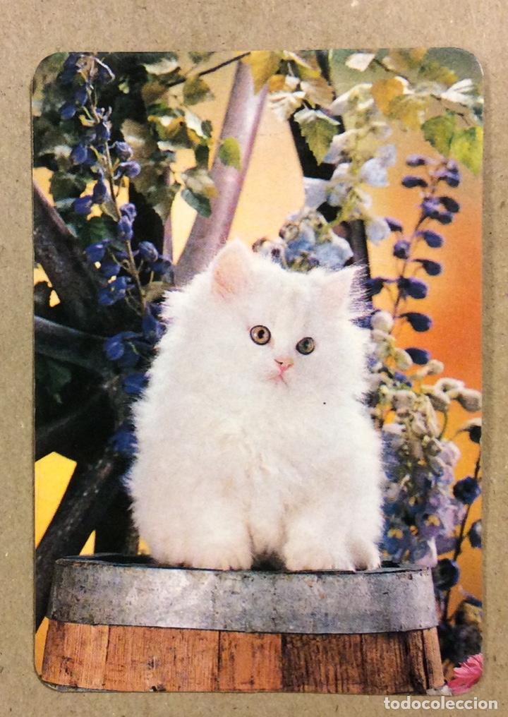 Collezionismo Calendari: BAR EWER (BARAKALDO). CALENDARIO PUBLICITARIO DE 1993.