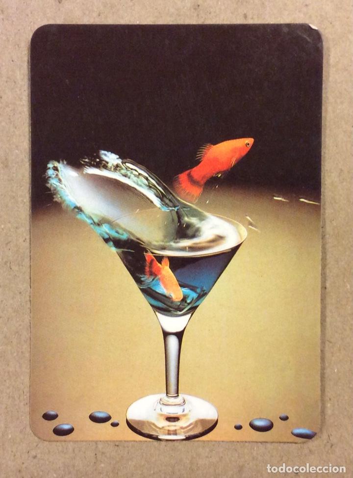 Colecionismo Calend&aacute;rios: FILATELIA BARACALDO (BARACALDO). CALENDARIO PUBLICITARIO DE 1995.