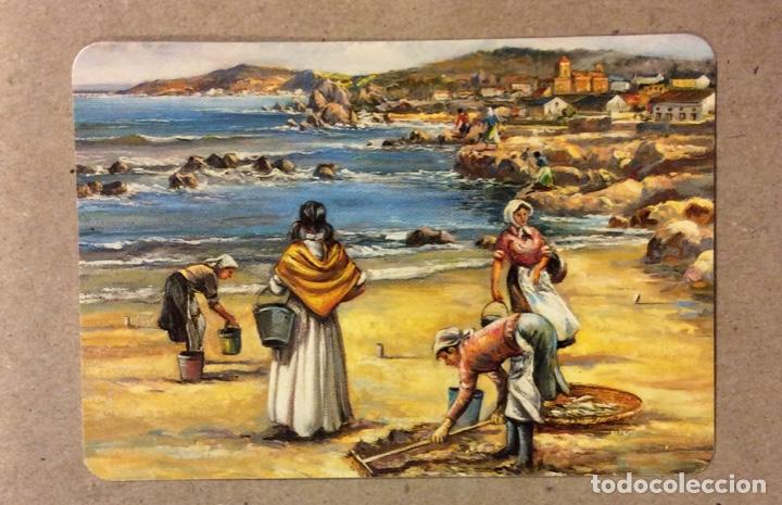 Sammeln von Kalendern: NUMISM&Aacute;TICA NUMIS ARTE (BILBAO). CALENDARIO PUBLICITARIO DE 1996.