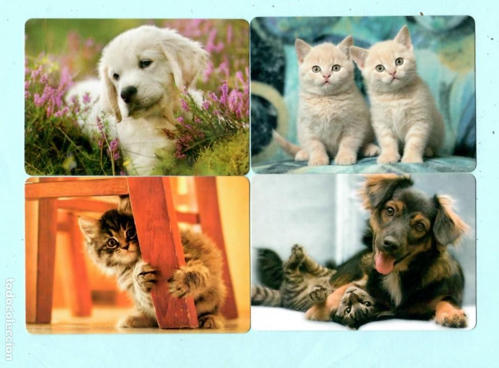 Coleccionismo Calendarios: CUATRO CALENDARIOS DE PERROS Y GATOS DE CASA C.B. DEL N&ordm; 40 / 43 SIN PUBLICIDAD