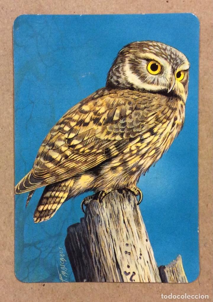 Collezionismo Calendari: BAR DEGUSTACI&Oacute;N SAN ROQUE (REPELEGA - PORTUGALETE). CALENDARIO PUBLICITARIO DE 1998.